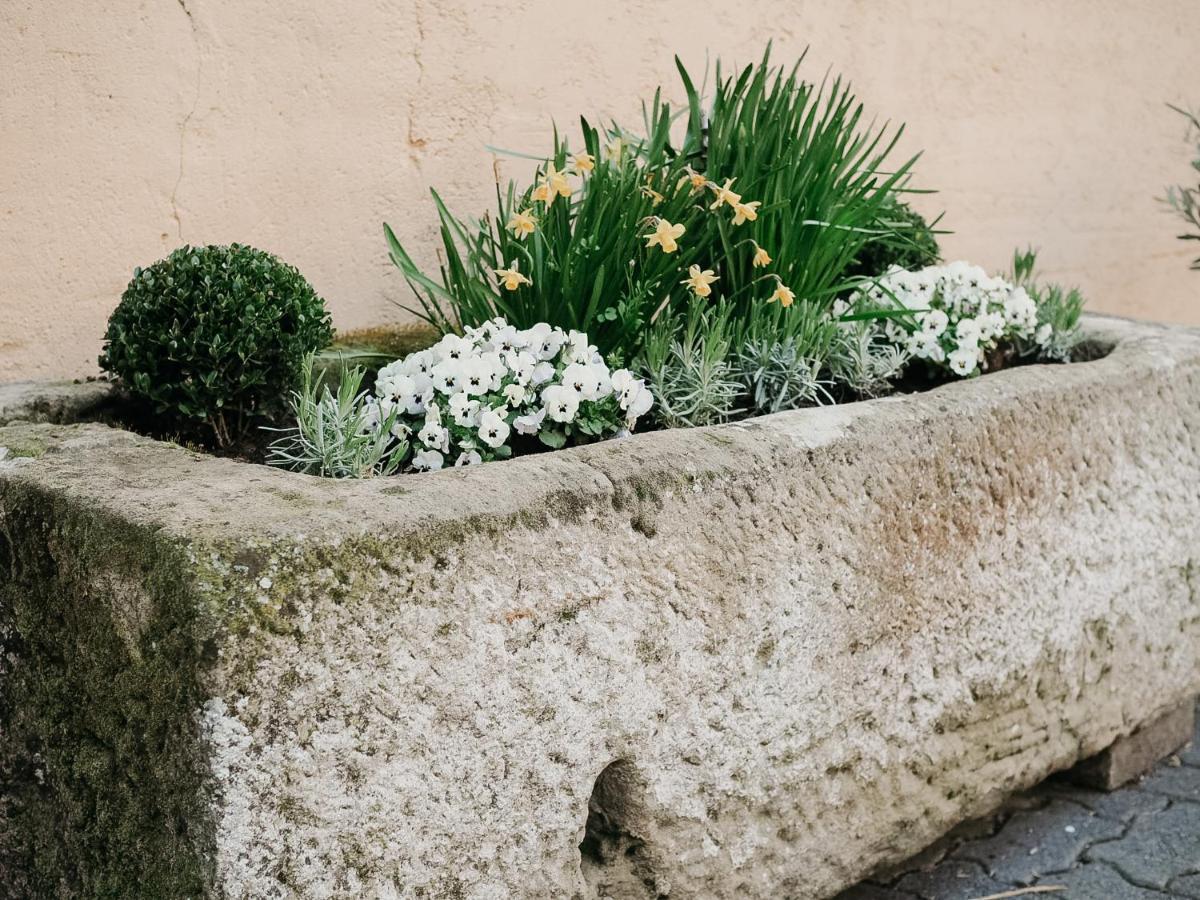 B&B Roudenhaff Echternach Dış mekan fotoğraf
