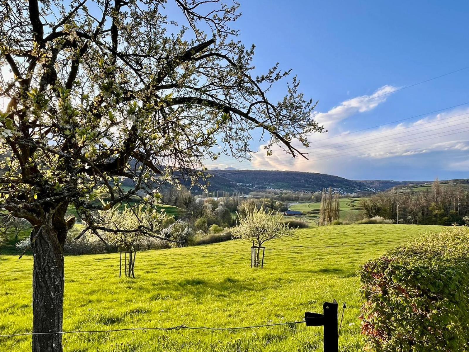 B&B Roudenhaff Echternach Dış mekan fotoğraf